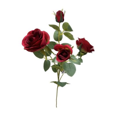 DHG23/03709RED