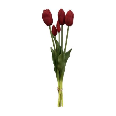 DHG23/04534RED
