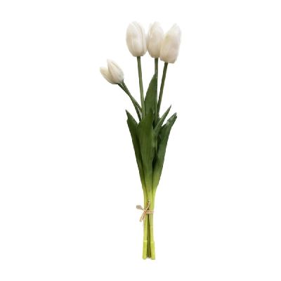 DHG23/04534WHT