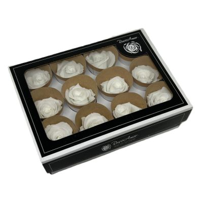 FLW25/WHI01MRL