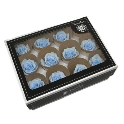 FLW25/BLU89MRL