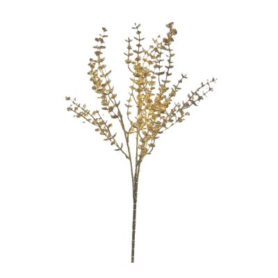 DHG24/13684ORO