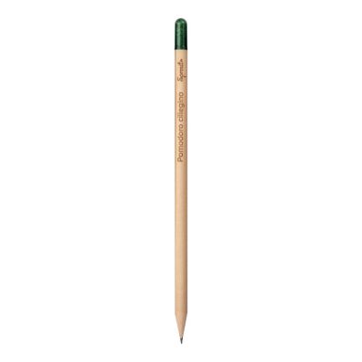 SPR23/MATTEMPOM