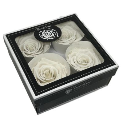 FLW25/WHI04BLS