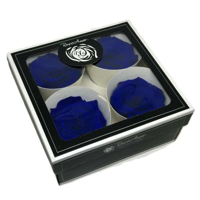 FLW25/BLU03BLS