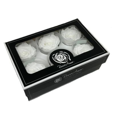 FLW25/WHI01LL