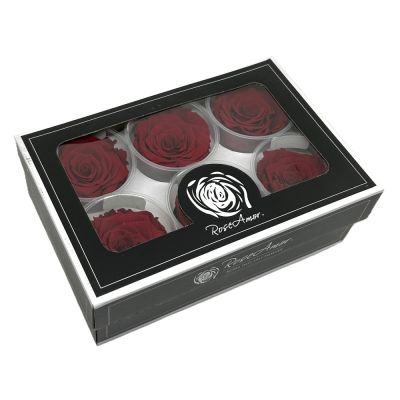 FLW25/RED02LL