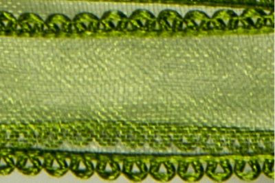 BANOT09076