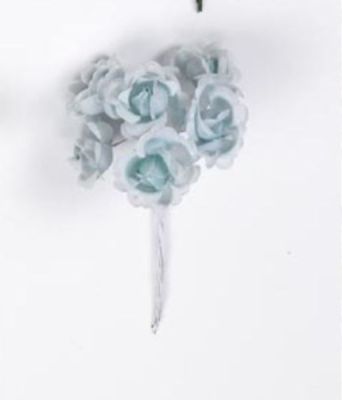 CA5159028X6