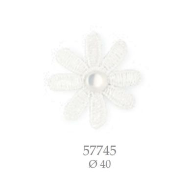 CA57745