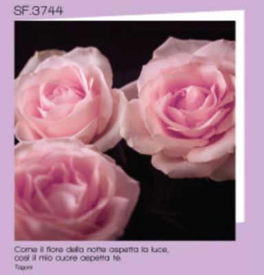 ARMONY biglietto auguri quadrato IL MIO CUORE ASPETTA TE..