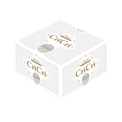 ITA24/CRICRIB500