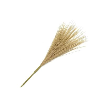 PAMPAS colore TORTORA da 12 cm decorazione BOMBONIERA