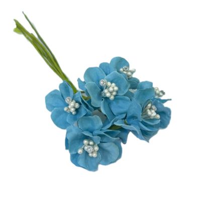 L2L25/L2413BLUE