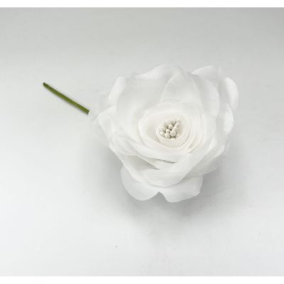 L2L22/L2177WHT