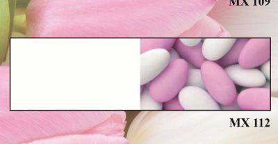 20 PZ Bigliettini bigliettino bomboniera NASCITA BAMBINA design confetti