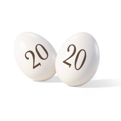 ITA25/CTNUM20