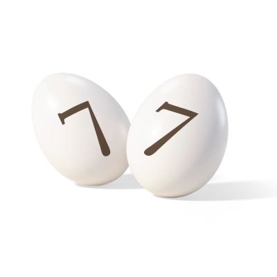 ITA25/CTNUM7