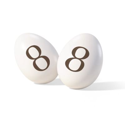 ITA25/CTNUM8