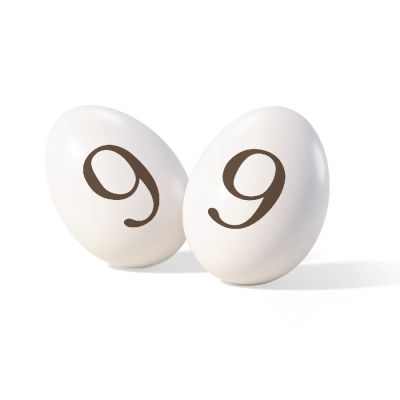 ITA25/CTNUM9