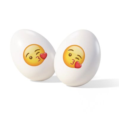 ITA25/CTMMOJIBAC
