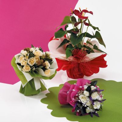 ITP22/S002005009502