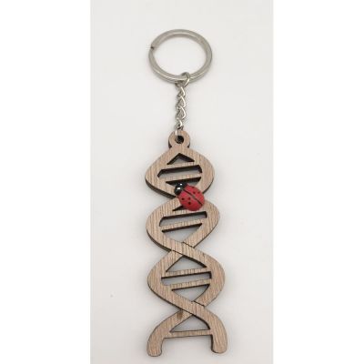 Portachiavi LAUREA DNA in legno con coccinella BOMBONIERA
