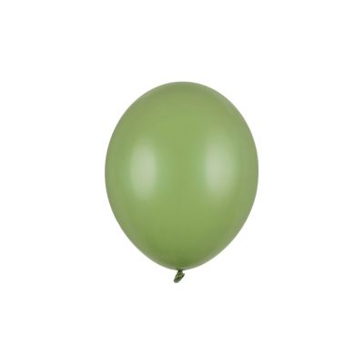 PAR24/SB12P-098-10