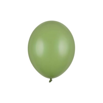 PAR24/SB14P-098