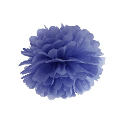 PAR20/PP25-074