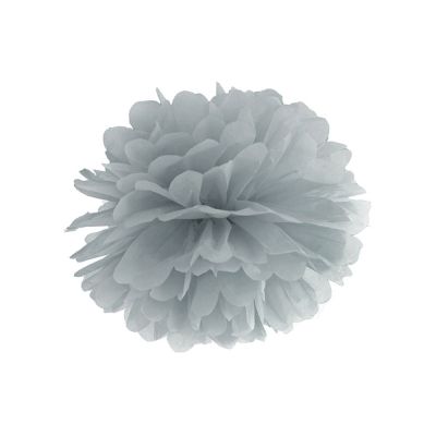 PAR20/PP25-091