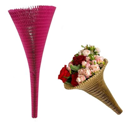 POZ25/WNT50FUCSIA