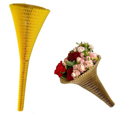 POZ25/WNT50GIALLO