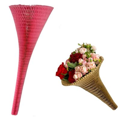 POZ25/WNT50ROSA