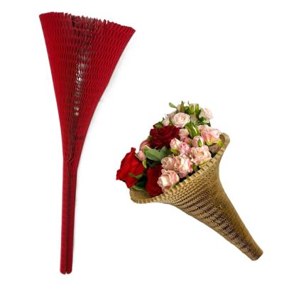 POZ25/WNT50ROSSO