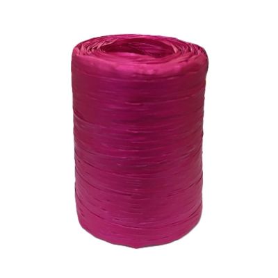 POZ25/POLYRAFIACILCAMINO