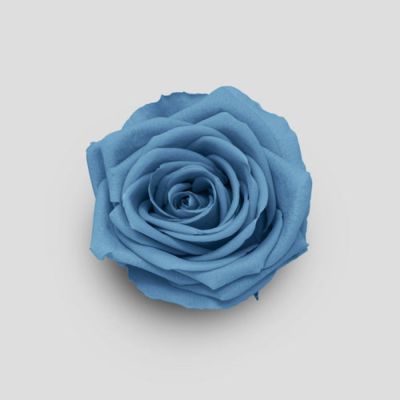 MEE26/ROL122