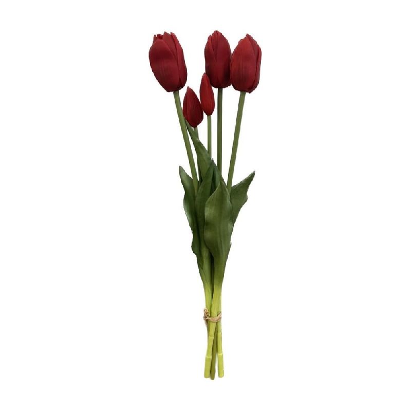 DHG23/04534RED