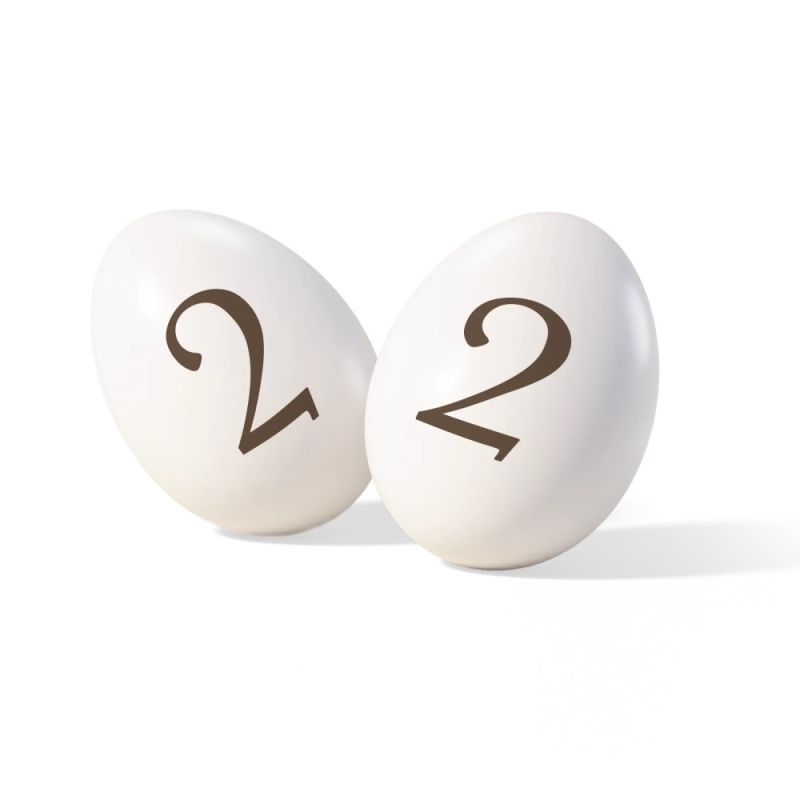 ITA25/CTNUM2