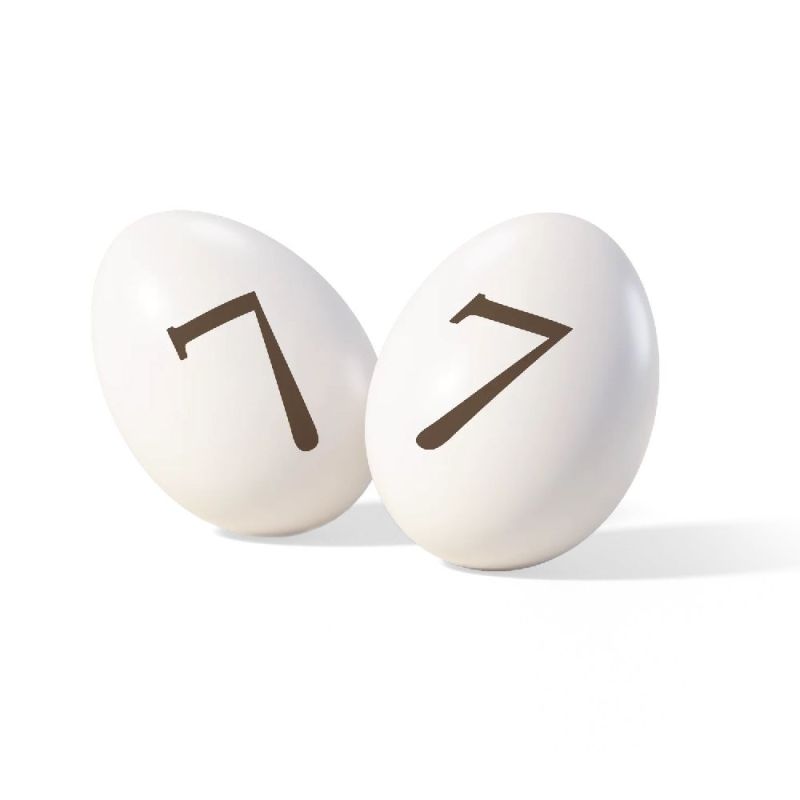 ITA25/CTNUM7