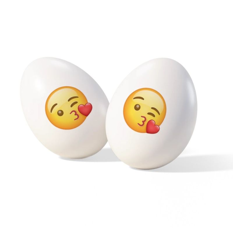 ITA25/CTMMOJIBAC